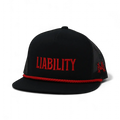 Liability